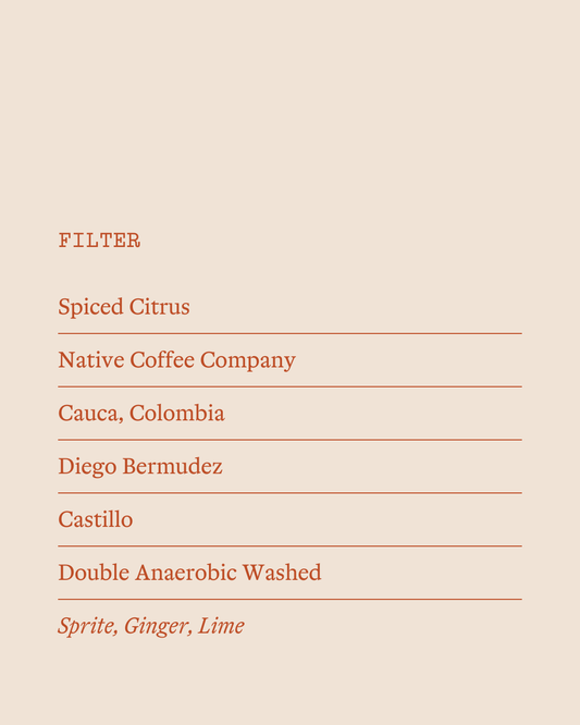 Filter - Spiced Citrus