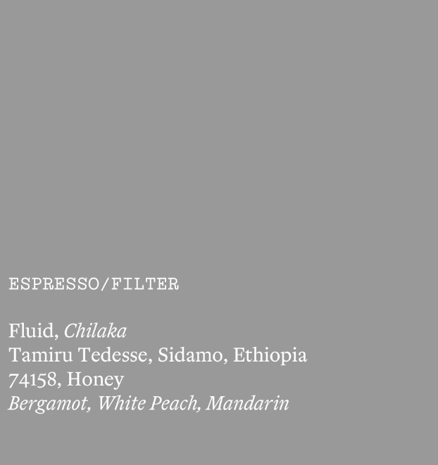 Fluid, Chilaka from Ethiopia - Honey